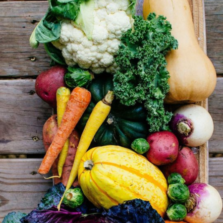 Дългогодишни растения